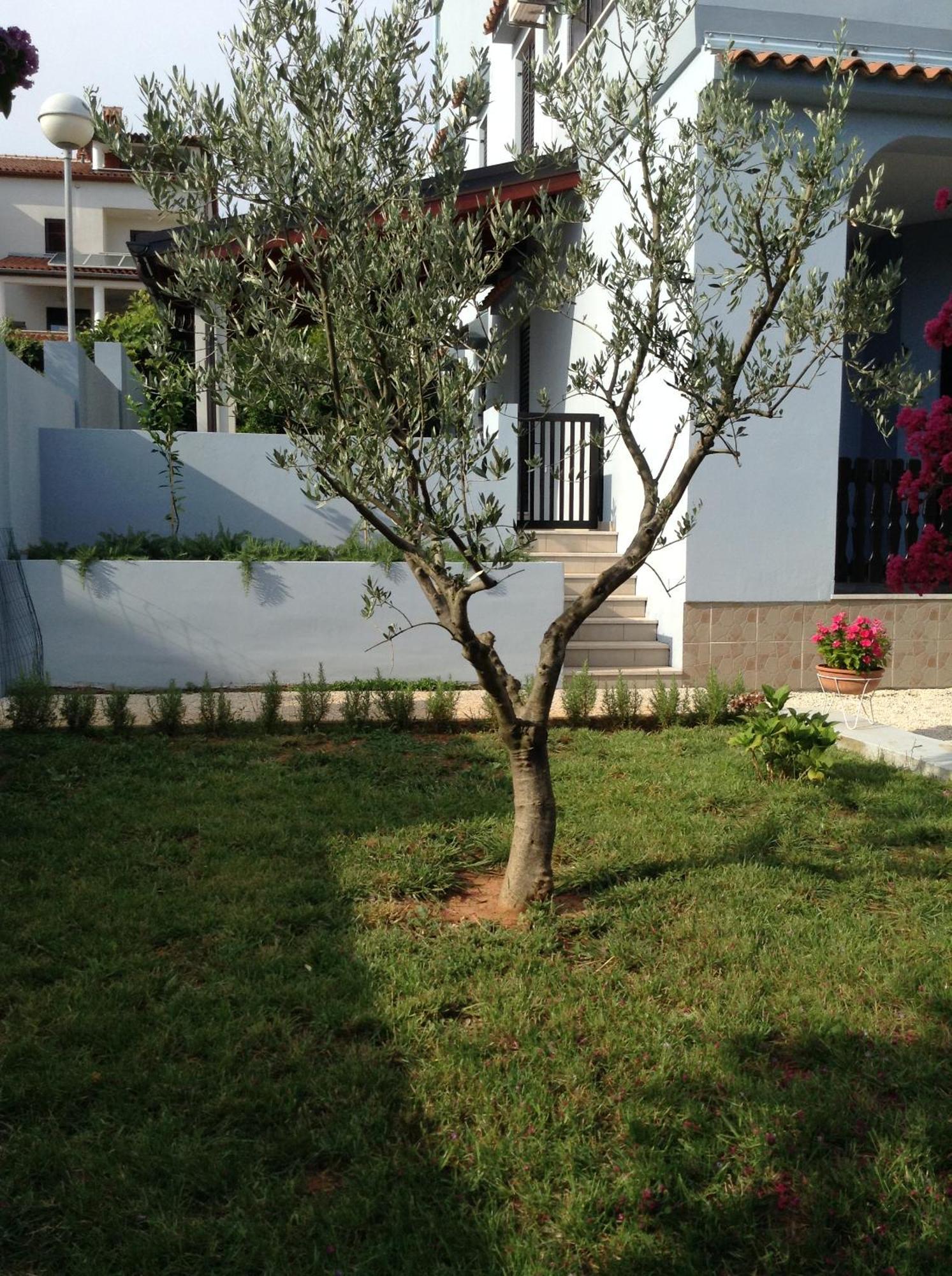 Apartament The Blue House Vinkuran Zewnętrze zdjęcie